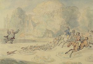 The Enraged Botanist by Thomas Rowlandson